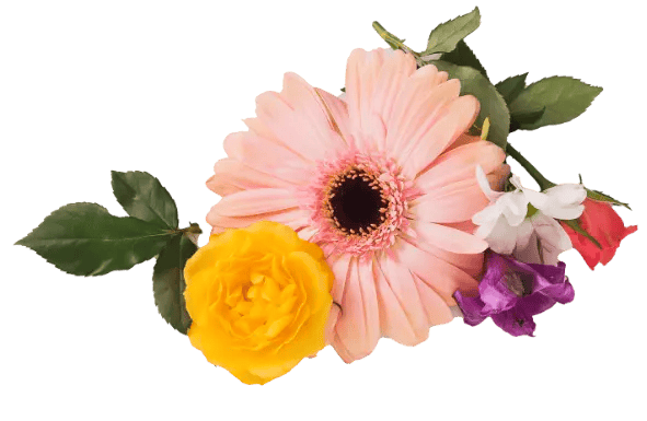 composicion-floral-fragil-blanco