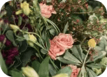 aromatizantes para oficina fragancias cipres